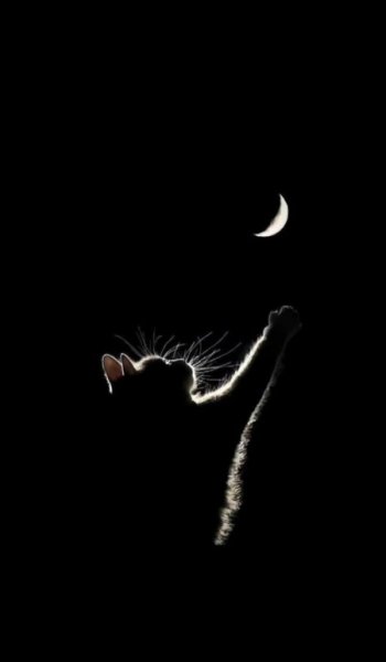  عکس ماه طبیعی