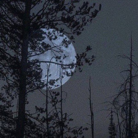  عکس ماه کامل واقعی