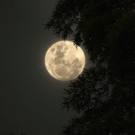  عکس ماه در شب برای پروفایل