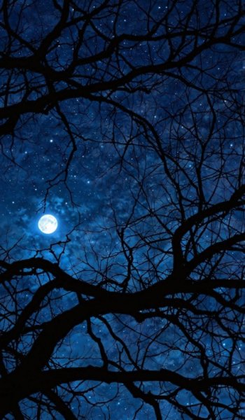  عکس ماه در شب برای پروفایل