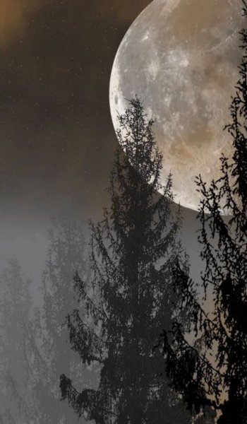  عکس ماه در شب برای پروفایل