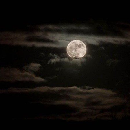  عکس ماه در شب برای پروفایل