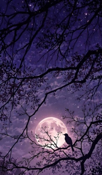  عکس ماه در شب برای پروفایل