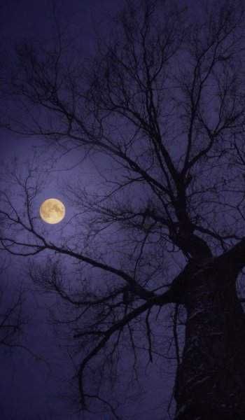  عکس ماه در شب برای پروفایل