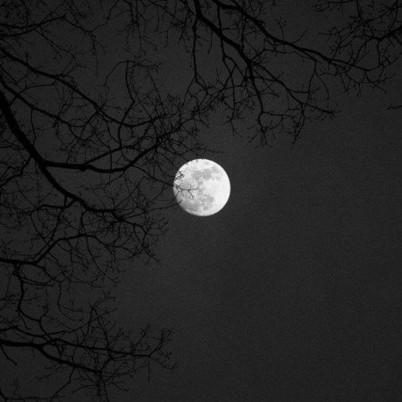  عکس ماه در شب برای پروفایل