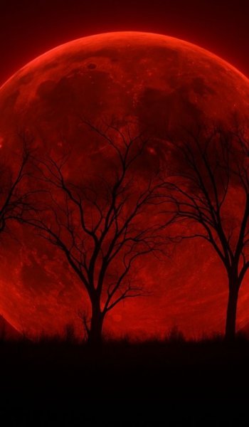  عکس ماه در شب برای پروفایل