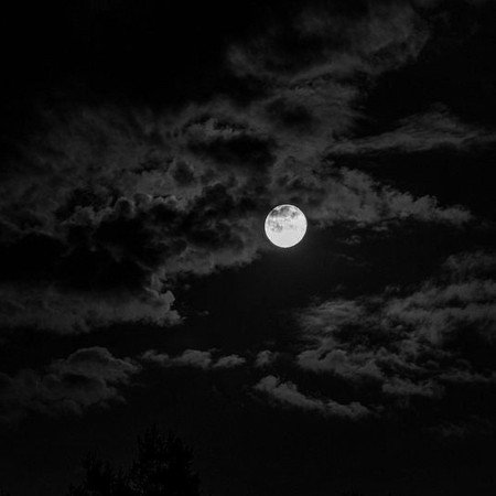  عکس ماه در شب برای پروفایل