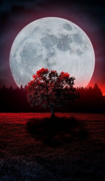  عکس ماه در شب برای پروفایل