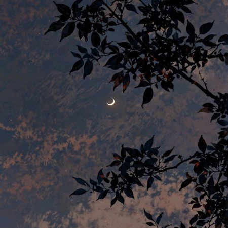  عکس ماه برای پروفایل