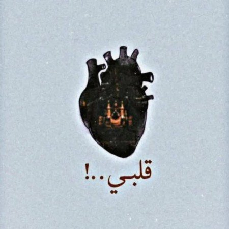  عکس امام حسین