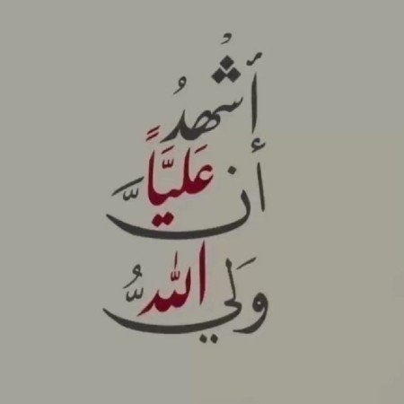  عکس امام علی