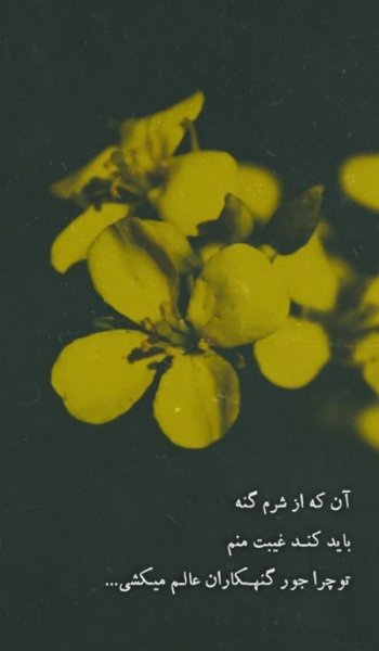  عکس الله در قلب