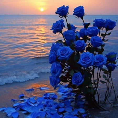  25 عکس الله برای پروفایل شاد