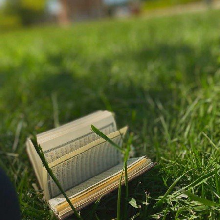 زیباترین عکس اسم خدا