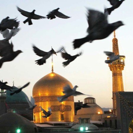  عکس امام رضا