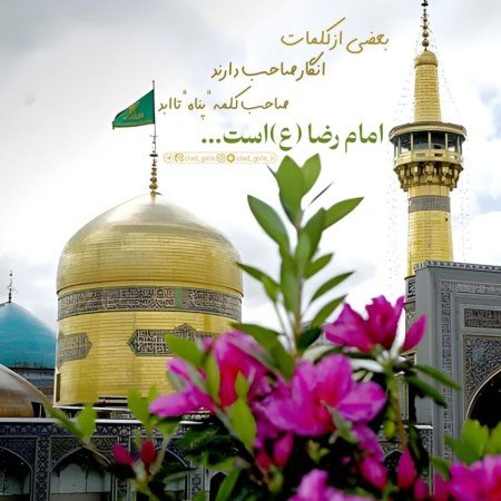  عکس امام رضا