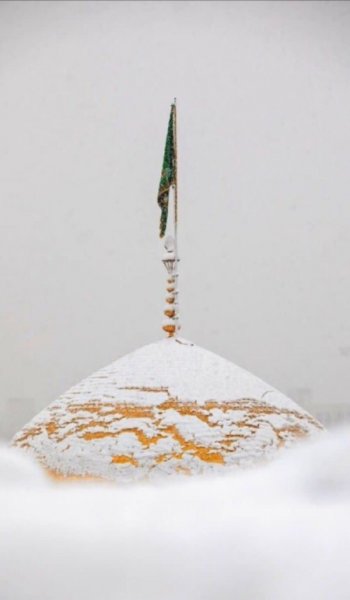  عکس امام رضا