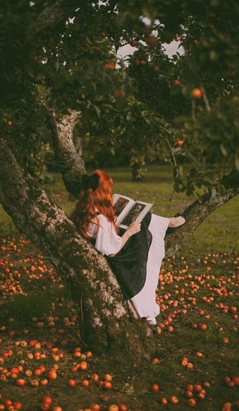  عکس برای پروفایل