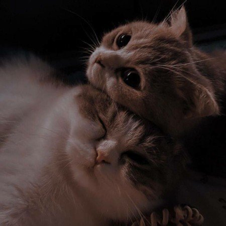  عکس برای پروفایل پسرانه