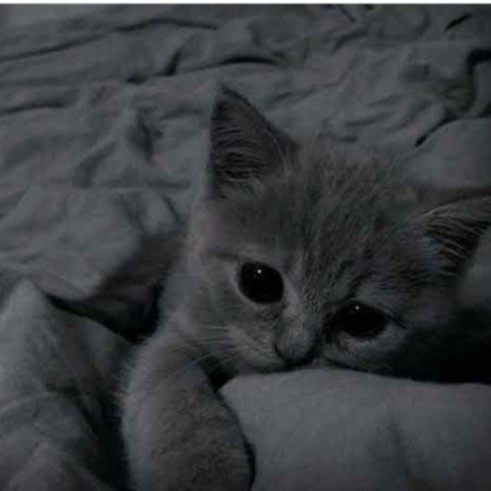  25 عکس دخترونه شیک و باکلاس برای پروفایل