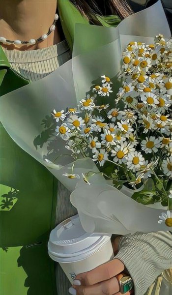  254 عکس پروفایل شیک