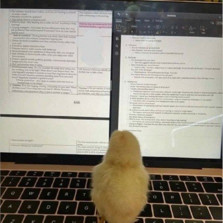  عکس برای پروفایل تلگرام واتس اپ