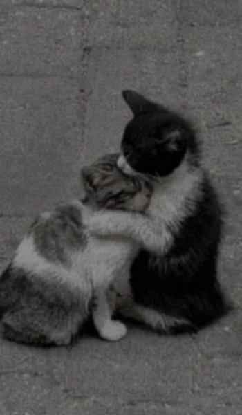  کاور هایلایت اینستاگرام رایگان