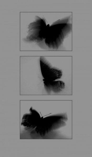  عکس برای هایلایت اینستا دخترونه