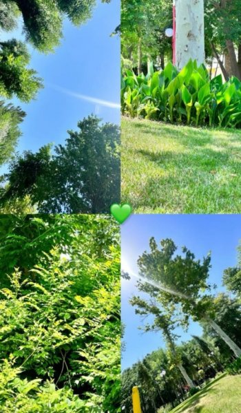  عکس برای هایلایت اینستا پسرونه