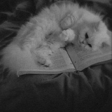  عکس برای هایلایت اینستا پسرونه