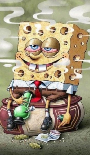  عکس باب اسفنجی