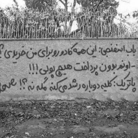  عکس باب اسفنجی