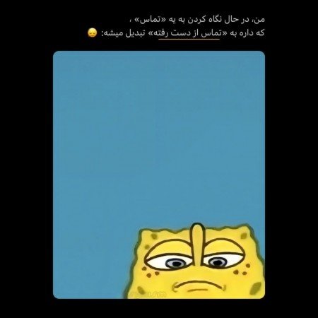  عکس باب اسفنجی