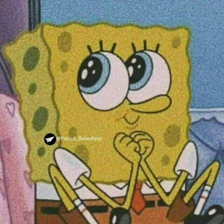  عکس باب اسفنجی