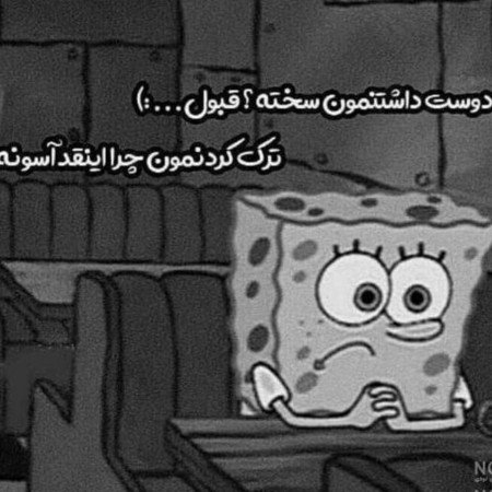  عکس باب اسفنجی