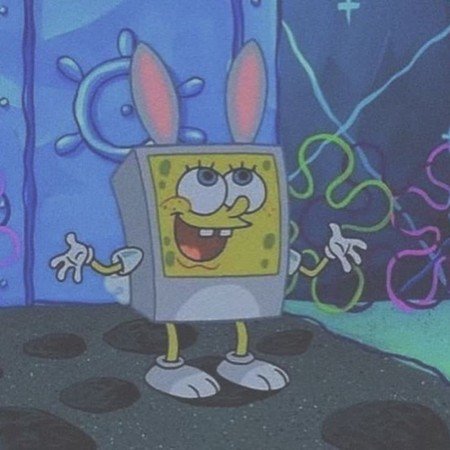  عکس باب اسفنجی