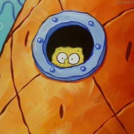  عکس باب اسفنجی