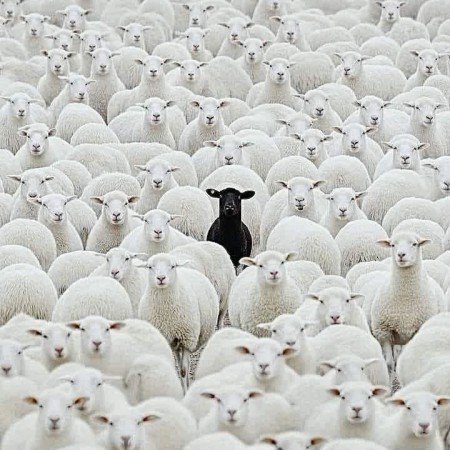  عکس بین الحرمین