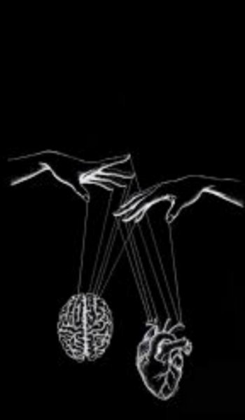  عکس بین الحرمین