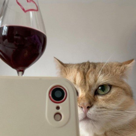  عکس بین الحرمین