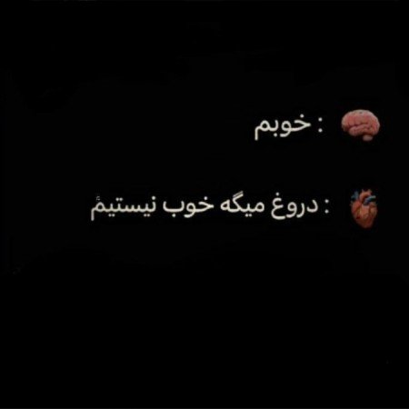  عکس بین الحرمین