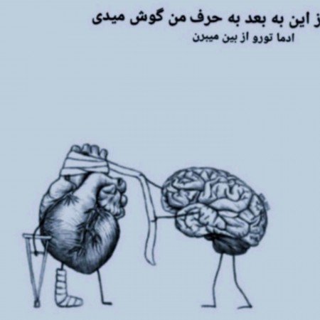  عکس بین الحرمین