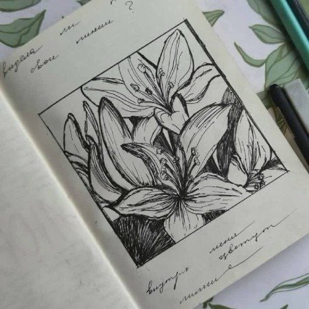  عکس نقاشی ناز