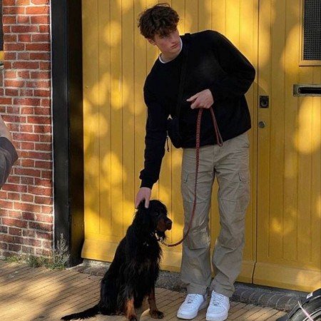  عکس سگ خانگی