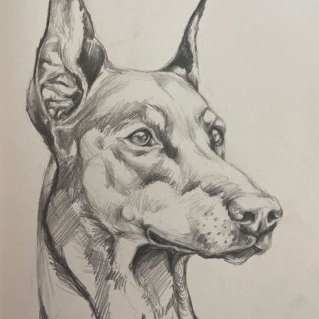  عکس سگ برای پروفایل پسرانه