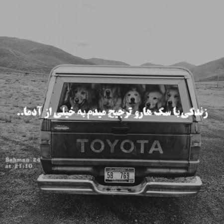  عکس سگ برای پروفایل پسرانه