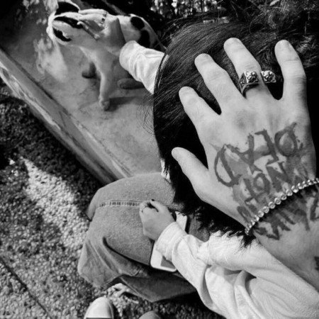  عکس سگ برای پروفایل پسرانه