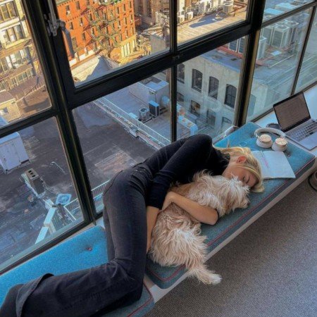  عکس سگ برای پروفایل پسرانه