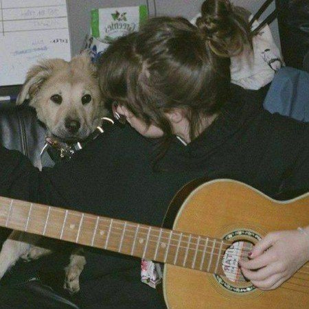  عکس سگ برای پروفایل پسرانه