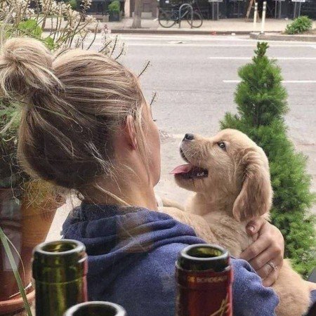  عکس سگ برای پروفایل پسرانه